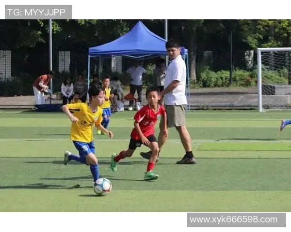 追忆那些在绿茵场上闪耀的足球明星们他们的灵魂已飞向天堂