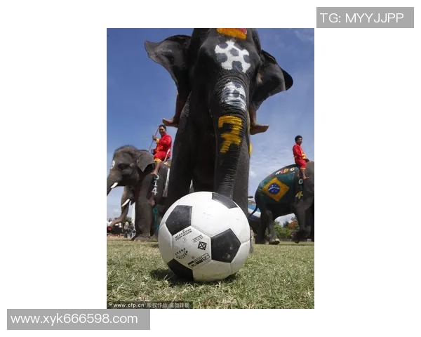 从剪刀石头布到绿茵场的传奇之路揭秘足球明星的成长历程